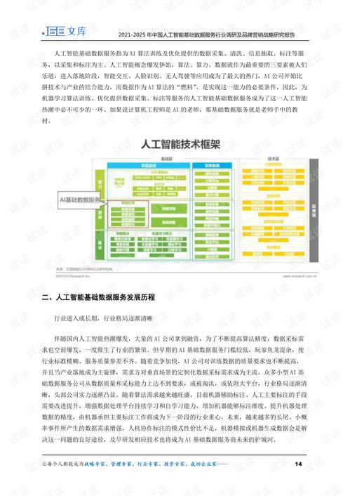 2021-2025年中國人工智能基礎數(shù)據(jù)服務行業(yè)調研及品牌營銷戰(zhàn)略研究報告